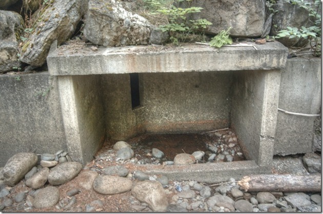 Browns River, Courtenay, history, Puntledge River,fish bypass,history,and now you know