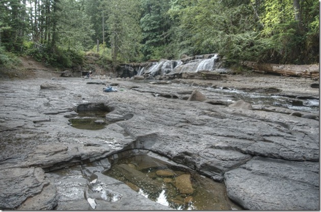 Browns River, Courtenay, history, Puntledge River,fish bypass,history,and now you know