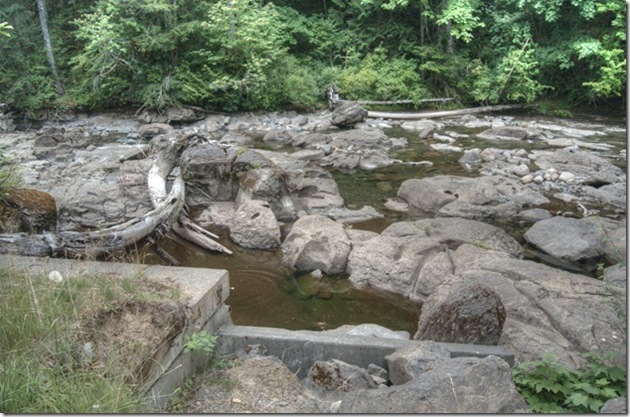 Browns River, Courtenay, history, Puntledge River,fish bypass,history,and now you know