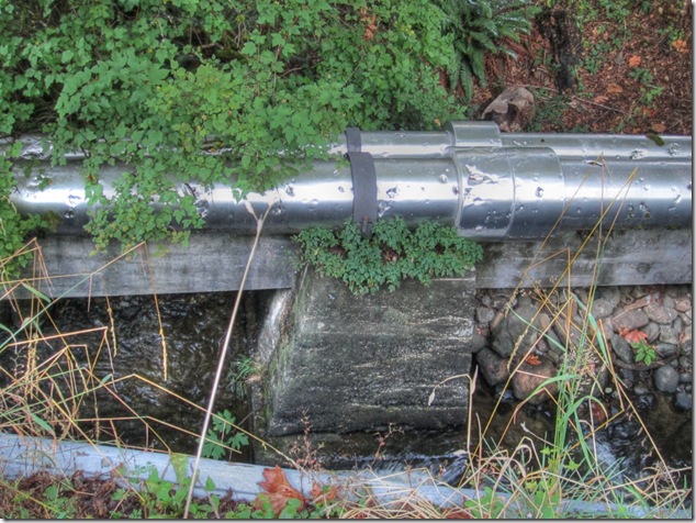 Courtenay,water supply,reservoir,abandoned,history,and now you know,Powerline Road