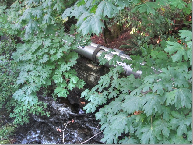 Courtenay,water supply,reservoir,abandoned,history,and now you know,Powerline Road