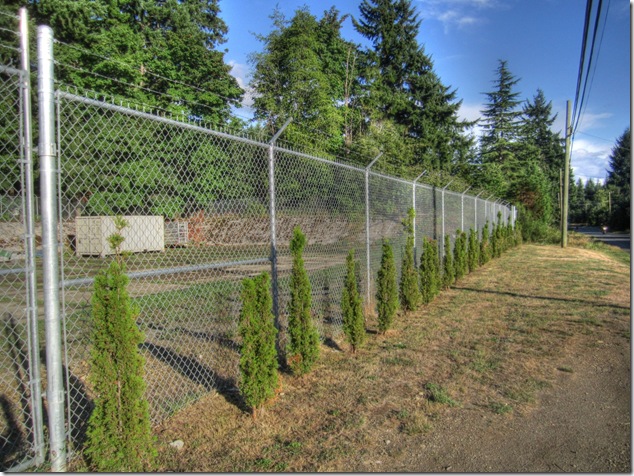 Courtenay,water supply,reservoir,abandoned,history,and now you know,Powerline Road