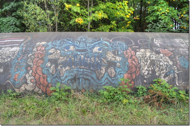 Puntledge penstock pipeline,pipeline,Comox Valley,BC Hydro,graffiti,art