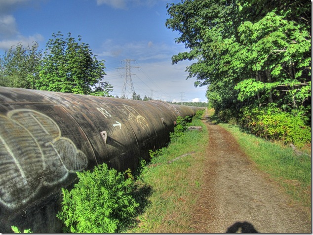BC Hydro,penstock,Comox Lake,Puntledge Generation Station,pipeline graffiti