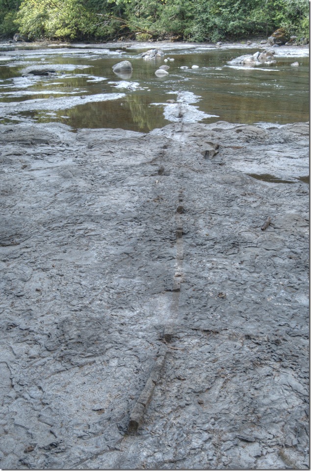 Browns River,Comox Valley,river,nature,fossils