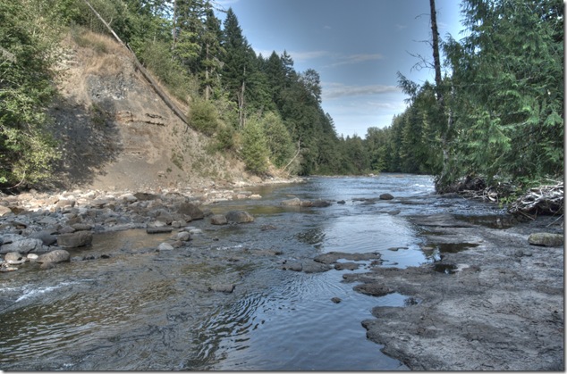 Browns River,Puntledge River,Comox Valley,river,nature,fossils,BC Hydro,salmon,hatchery