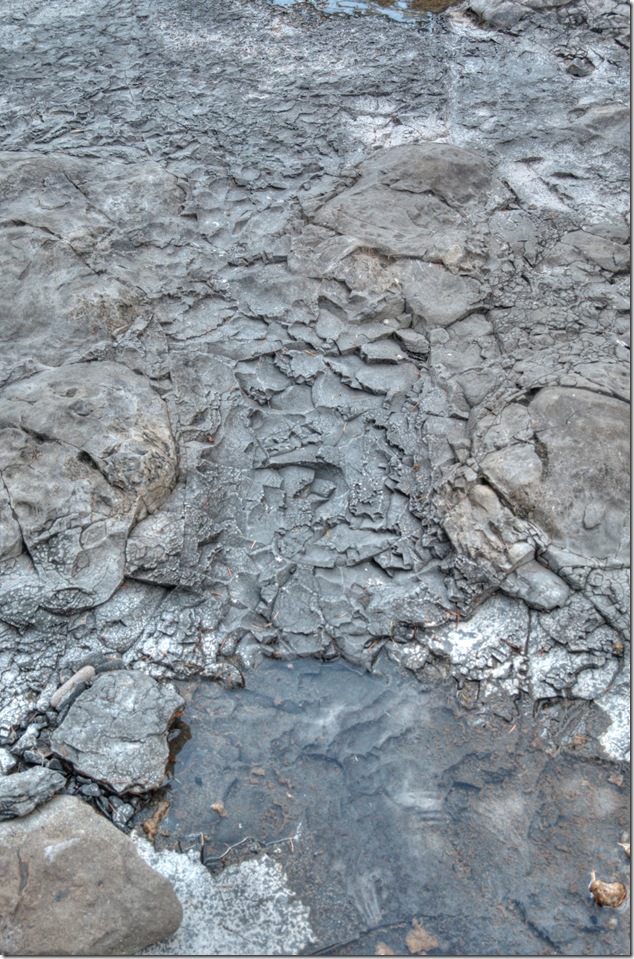 Browns River,Comox Valley,river,nature,fossils