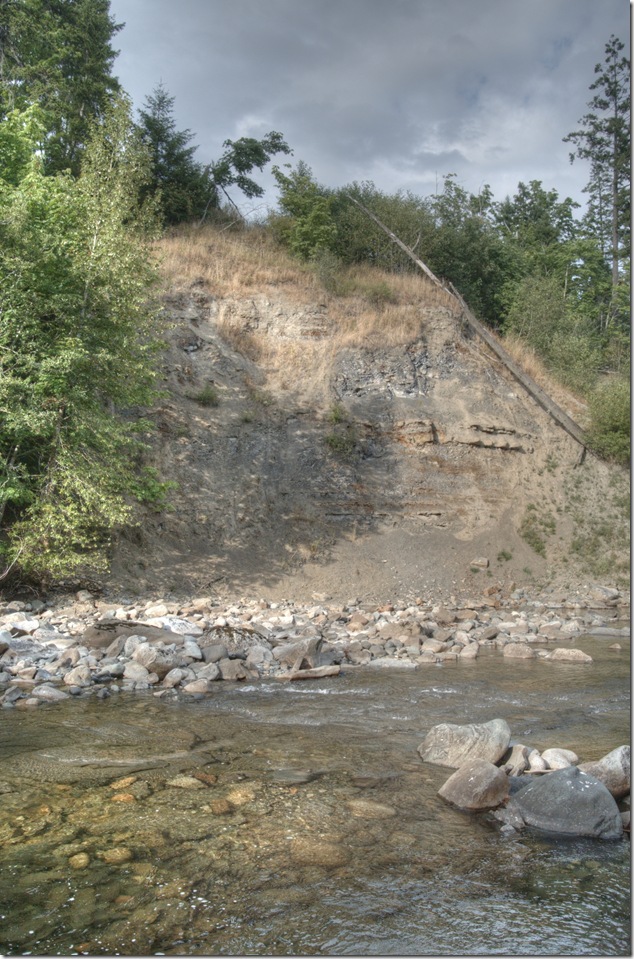 Browns River,Puntledge River,Comox Valley,river,nature,fossils,BC Hydro,salmon,hatchery