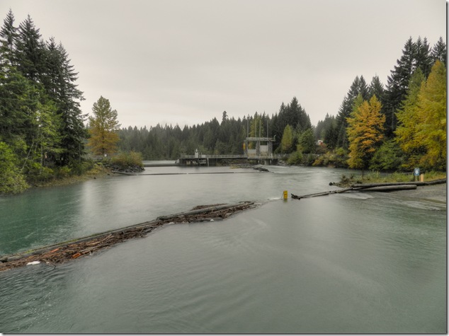 Comox Lake,BC Hydro,water level,dam,Puntledge River