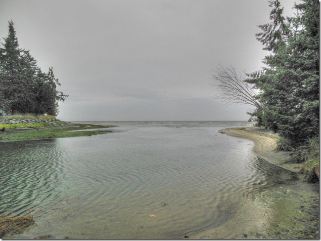 Black Creek,Georgia Strait,nature,fall,outdoors,Vancouver Island Images,Miracle Beach Provincial Park