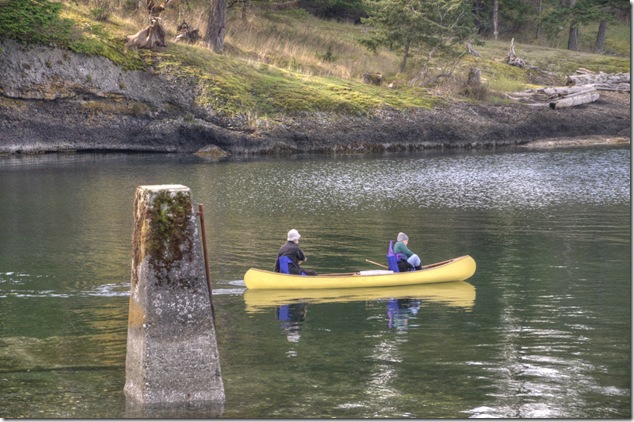 canoe,Baynes Sound,paddling,west coast perspective