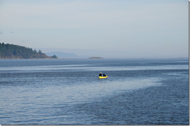 canoe,Baynes Sound,paddling,west coast perspective