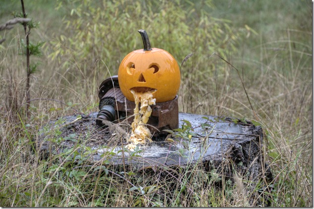 Pumpkin,art,Halloween