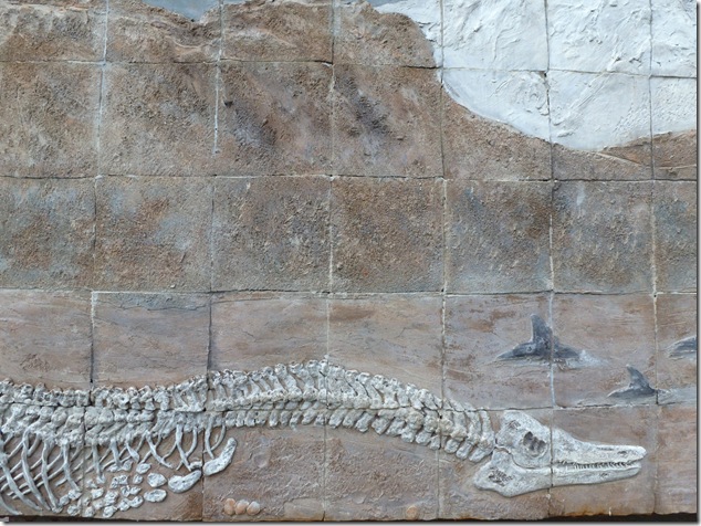 art,Courtenay,Vancouver Island Images,SAR,19 Wing,CFB Comox, whales,Elasmosaur