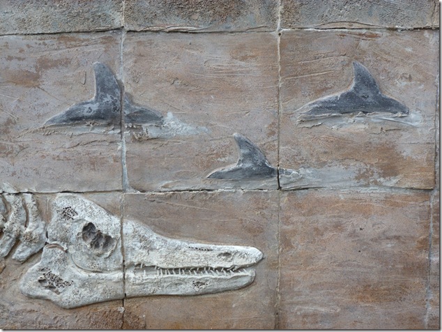 art,Courtenay,Vancouver Island Images,SAR,19 Wing,CFB Comox, whales,Elasmosaur