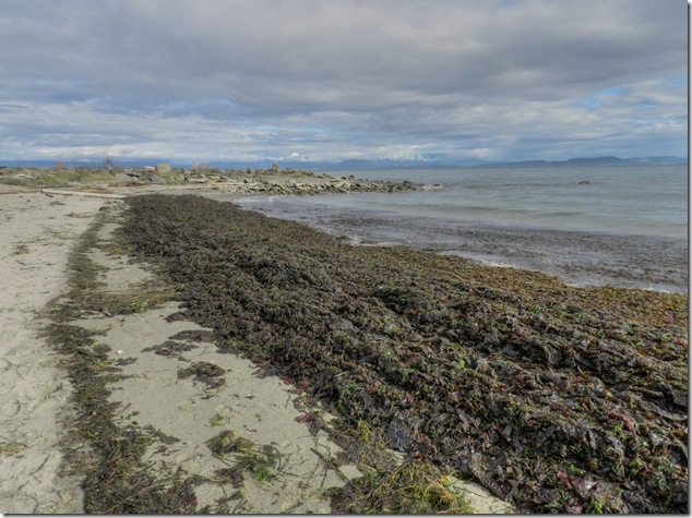 Powell River,Gerogia Strait,Air Force Beach,Vancouver Island Images,beach,ocean,clouds,storm Powell River,Gerogia Strait,Air Force Beach,Vancouver Island Images,beach,ocean,clouds,storm