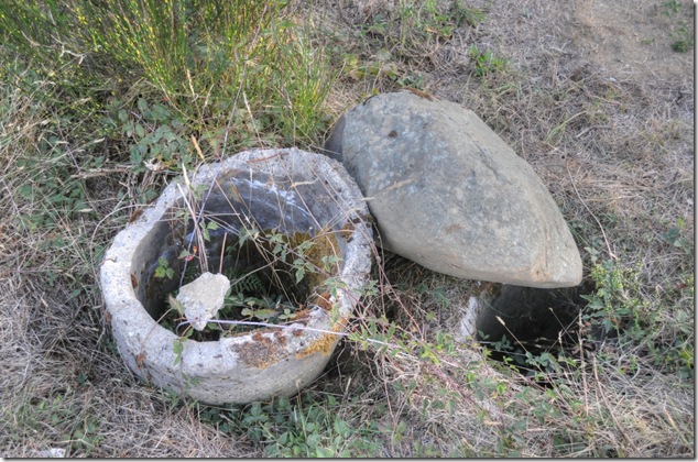 BC Hydro,Puntledge,pipeline,Bevan,mystery,history