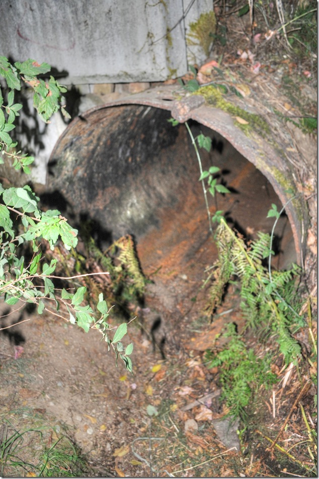 BC Hydro,Puntledge,pipeline,Bevan,mystery,history