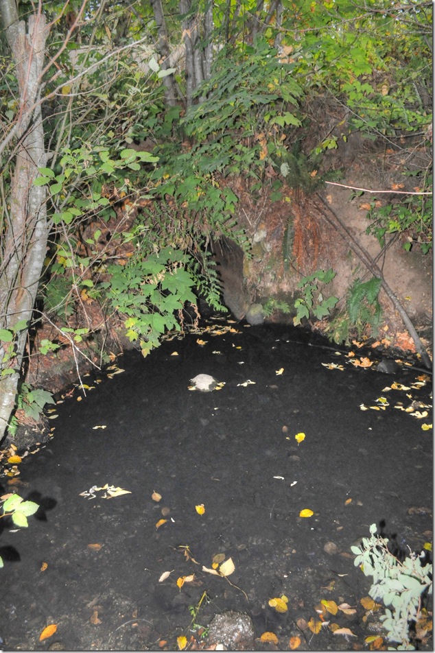 BC Hydro,Puntledge,pipeline,Bevan,mystery,history