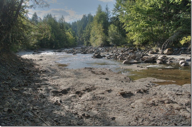 Comox Valley,river,Browns River,outdoors,nature
