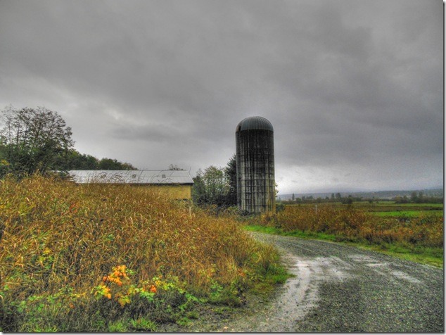 Comox Valley,farm land,not your normal view,clouds,fall,scenery,Vancouver Island Images