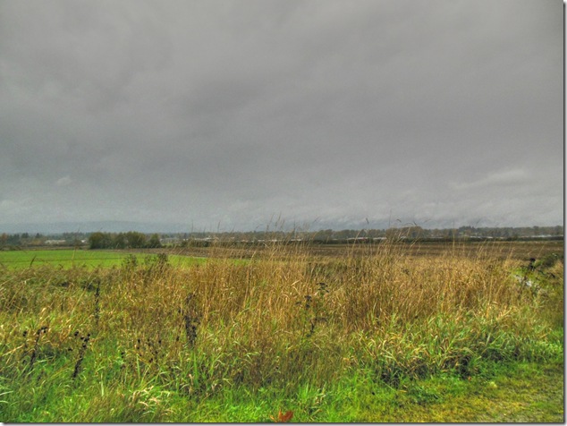 Comox Valley,farm land,not your normal view,clouds,fall,scenery,Vancouver Island Images