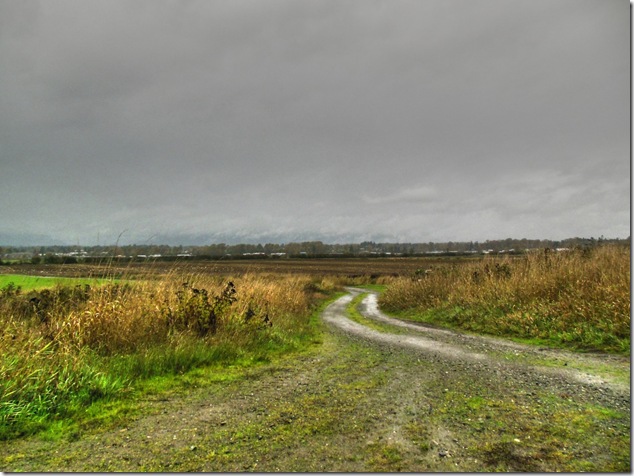 Comox Valley,farm land,not your normal view,clouds,fall,scenery,Vancouver Island Images