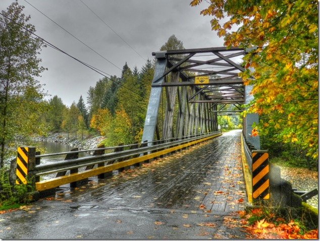 Oyster River,bridges,nature,fall,outdoors,Vancouver Island Images,river,leaves