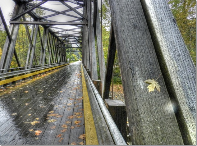 Oyster River,bridges,nature,fall,outdoors,Vancouver Island Images,river,leaves