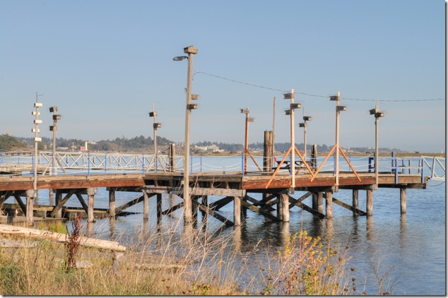 Royal Roads,Esquimalt Lagoon,History,Juan de Fuca Strait,Salish Sea,Coburg Peninsula