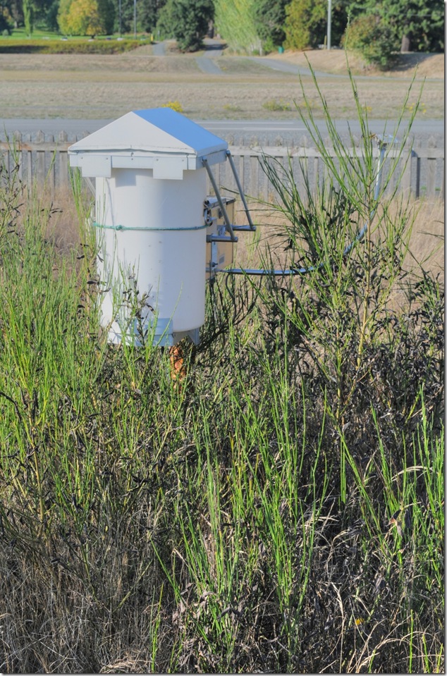 Royal Roads,Esquimalt Lagoon,History,Juan de Fuca Strait,Salish Sea,Coburg Peninsula
