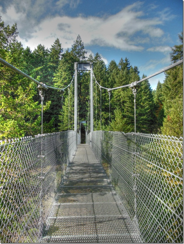 Top Bridge,Englishman River,suspension bridge,Parksville,Highway 19,river,hiking,trail