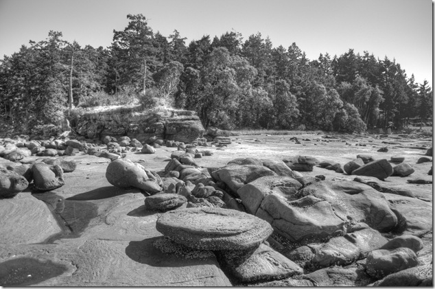 Wall Beach,Georgia Strait,Northwest Bay,Highway 19A,beach,ocean,nature