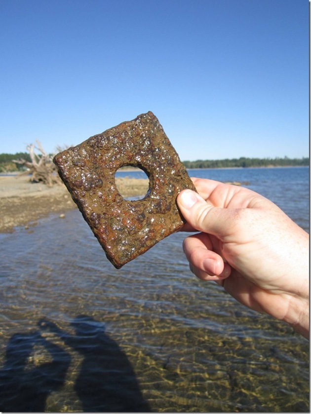 Comox Lake,water,Comox Glacier,rain,logging,tree stumps