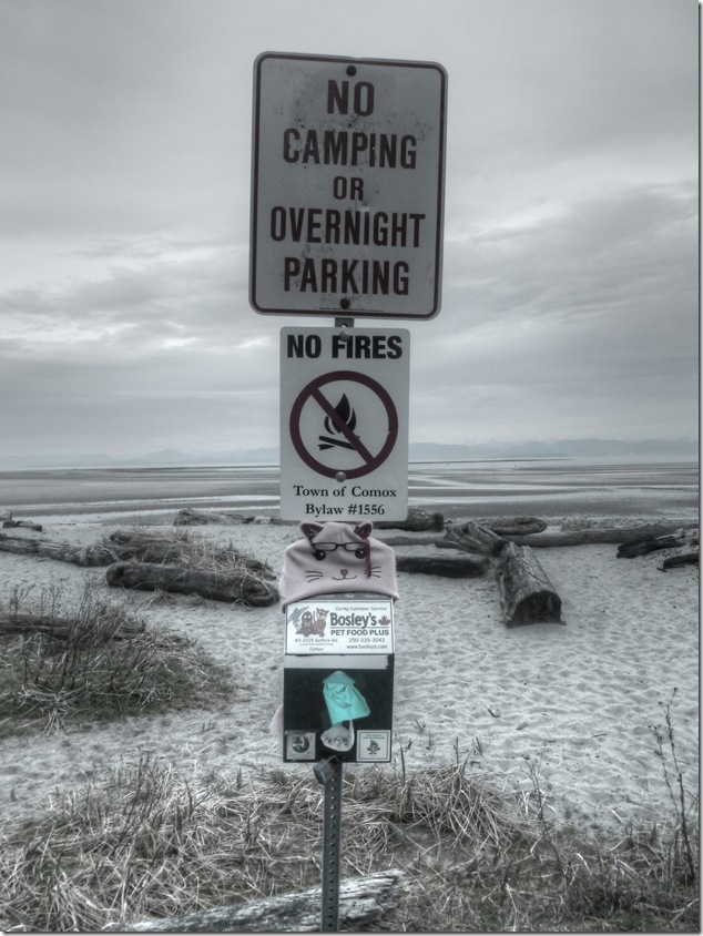 Island Signs,Kye Bay,beach,Georgia Strait,Vancouver Island Images,fall,frost,cold day