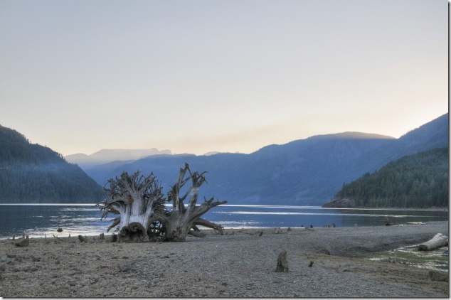 Comox Lake,water,Comox Glacier,rain,logging,tree stumps
