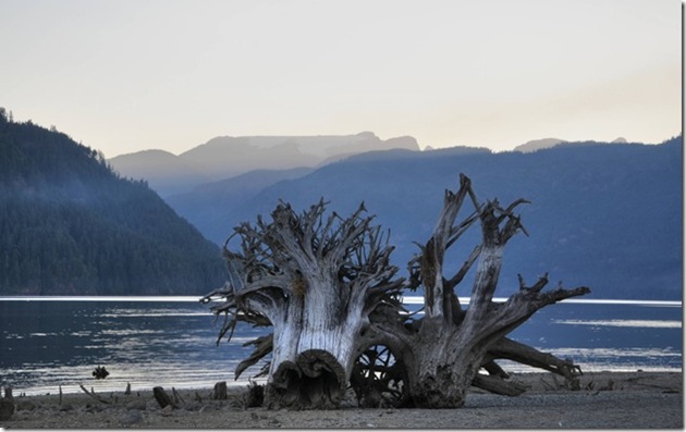 Comox Lake,water,Comox Glacier,rain,logging,tree stumps