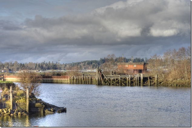 Courtenay,River,nature,history,Fields sawmill,pilings