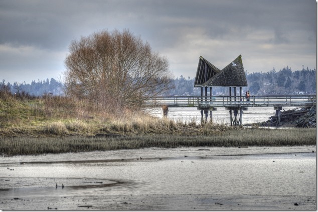 Courtenay Air Park,courtenay,River Walk,Comox Estuary,nature