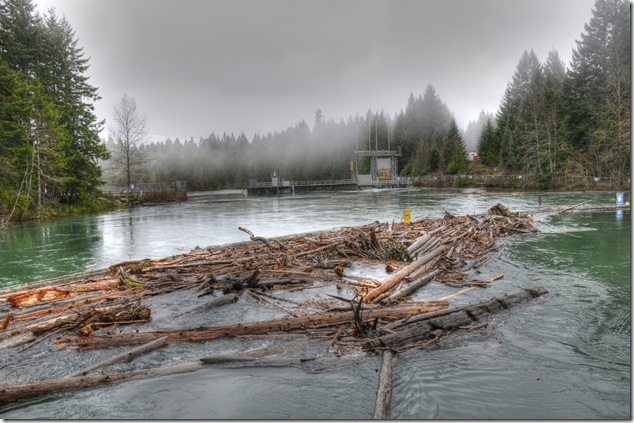 Comox Lake,Puntledge River,BC Hydro,dam,storm,flooding