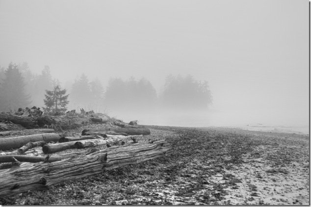 fog,ocean,Highway 19A,Miracle Beach Provincial Park,beach,fall