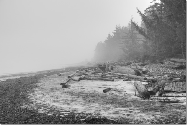 fog,ocean,Highway 19A,Miracle Beach Provincial Park,beach,fall