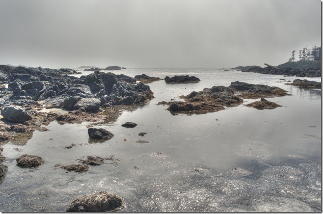 Ucluelet,Big Beach,beach