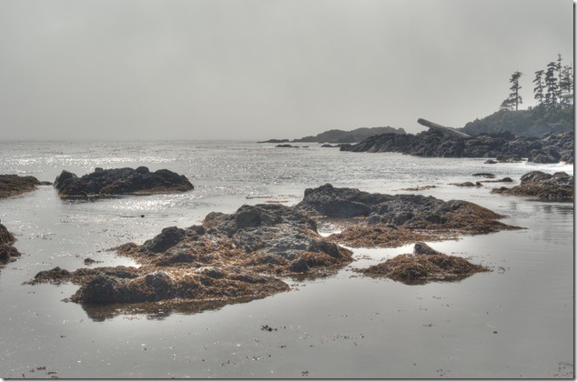 Ucluelet,Big Beach,beach