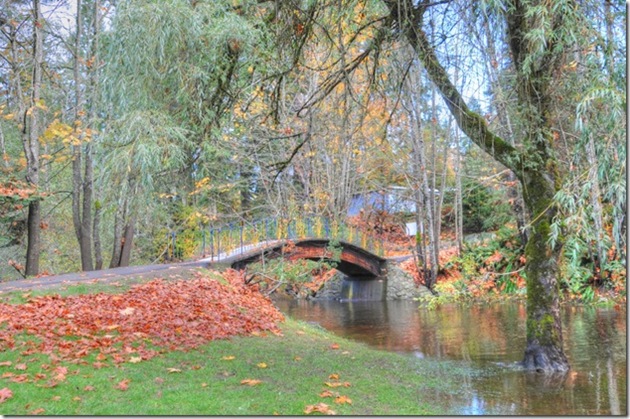 Puntledge Park,Courtenay,Puntledge River,bridge,nature,fall leaves