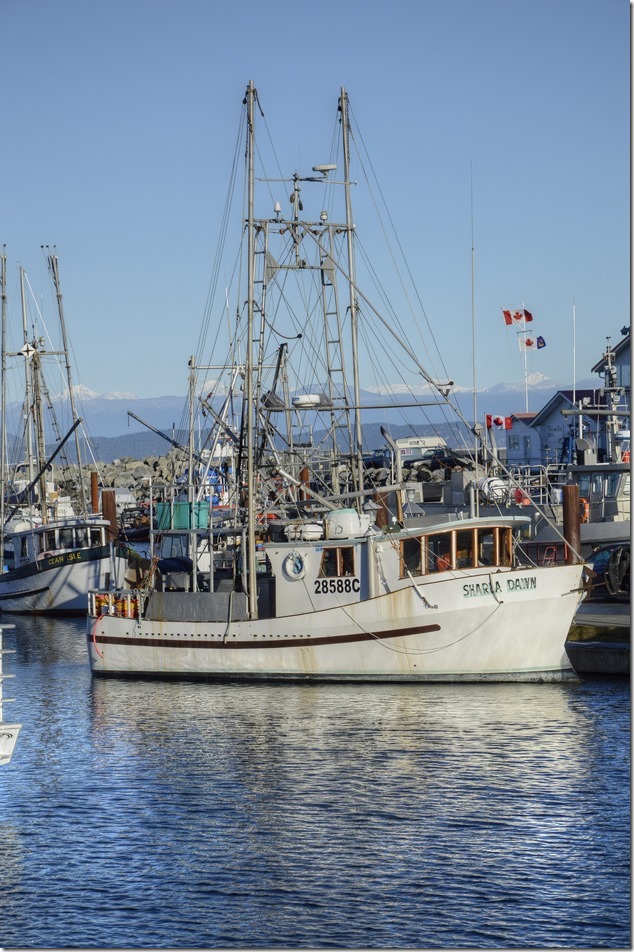 French Ceek,Highway 19A,fishing boats,marina,Sharla Dawn