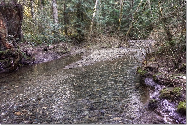 alt="Puntledge Recreation Area,Bear Bait trail,Supply Creek,vancouver island images,forest,nature"