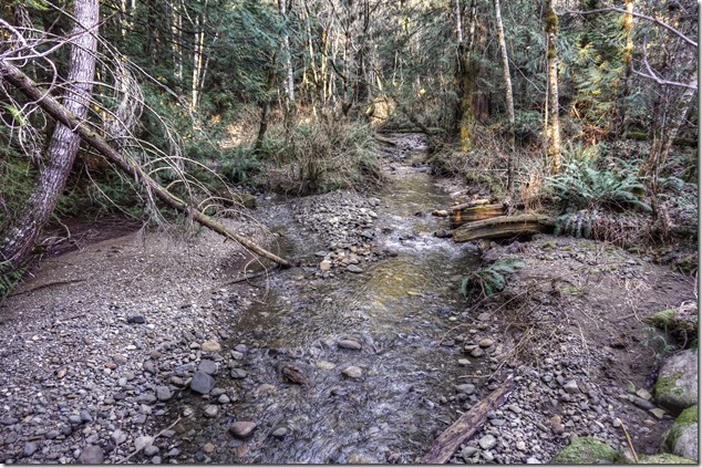 alt="Puntledge Recreation Area,Bear Bait trail,Supply Creek,vancouver island images,forest,nature"