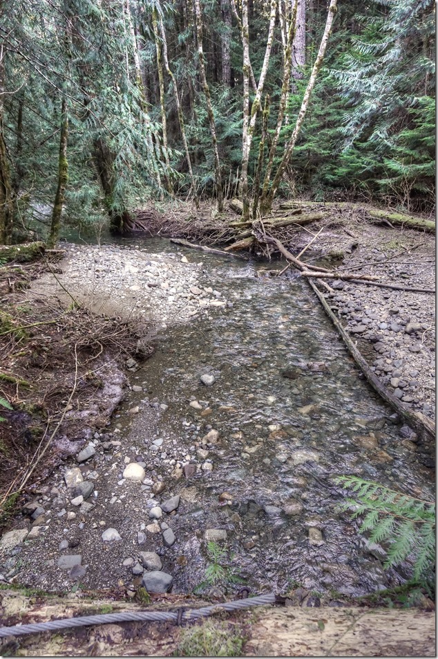 alt="Puntledge Recreation Area,Bear Bait trail,Supply Creek,vancouver island images,forest,nature"