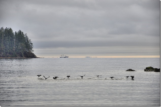 beach,Quadra,Open Bay,Gulf Islands,BC Ferries,Tachek